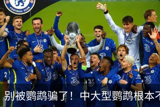 别被鹦鹉骗了！中大型鹦鹉根本不是宠物，是会飞的野生猛禽！