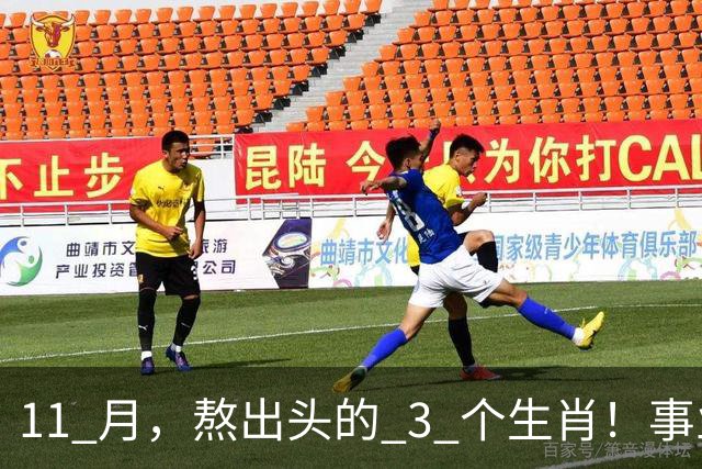 11 月，熬出头的 3 个生肖！事业逐步走高，辛苦付出开始变现